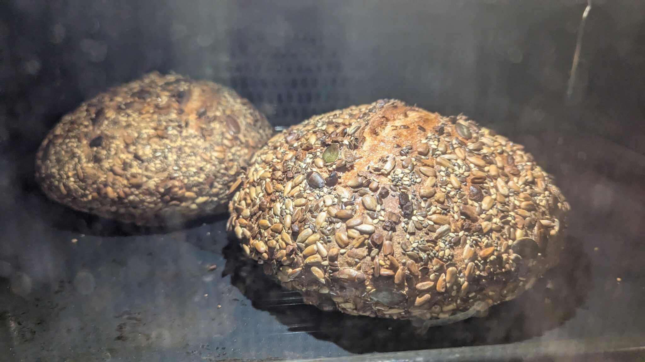 Körner - Eiweiß Brot
